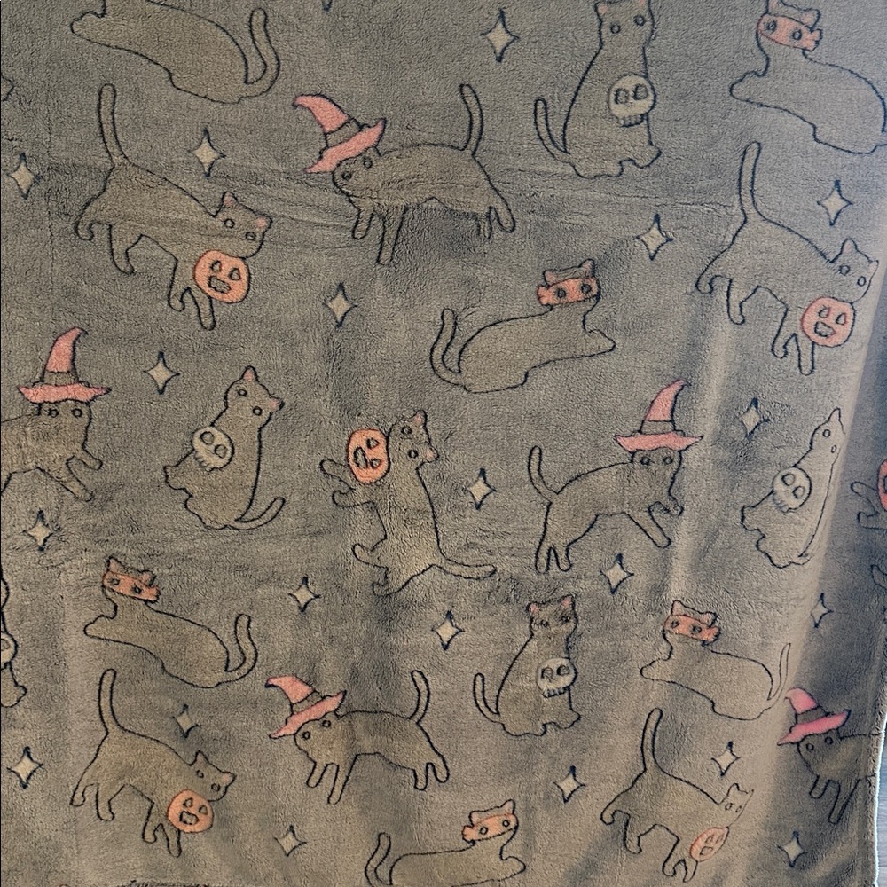 cat blanket